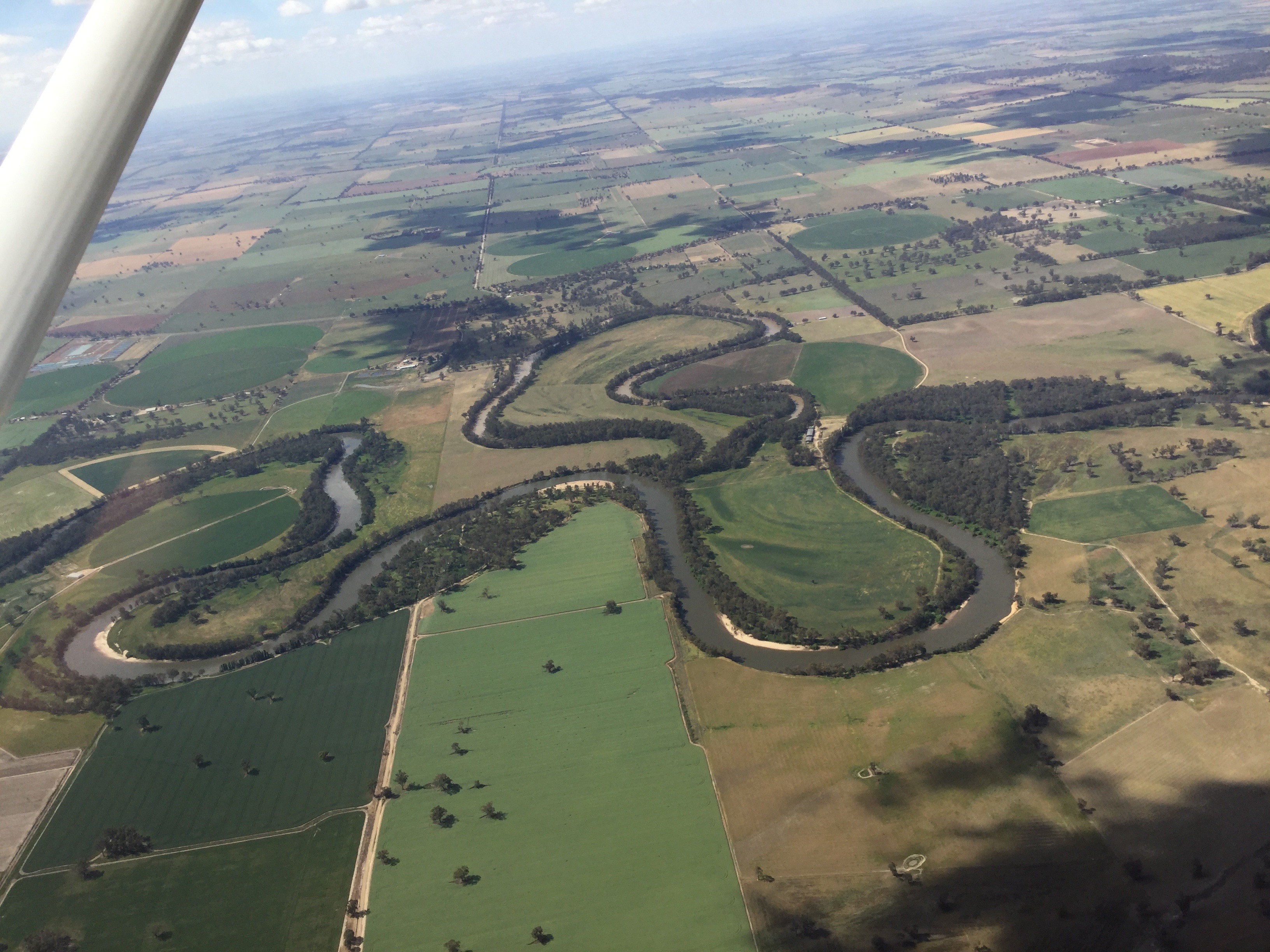 Murrumbidgee near Wagga